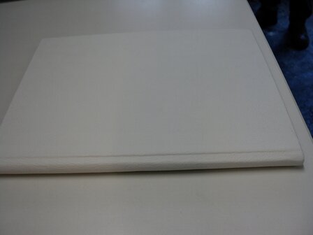 Lederen dummy's 