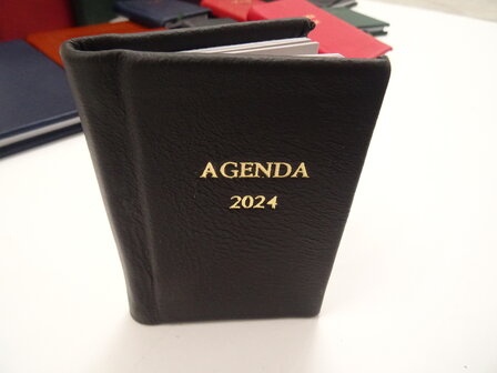 pocket diary 2024