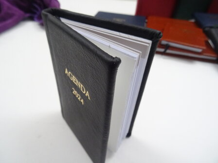 pocket diary 2024