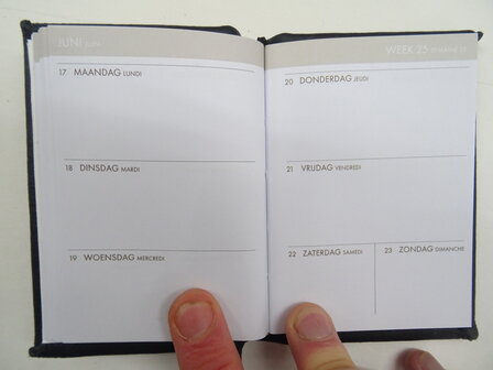 pocket diary 2024