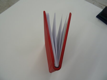 Dutch diary 2026