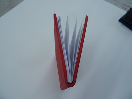 Dutch diary 2026