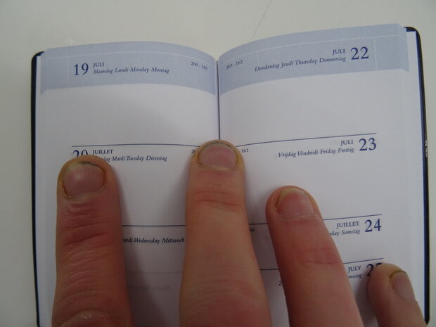 pocket diary 2021
