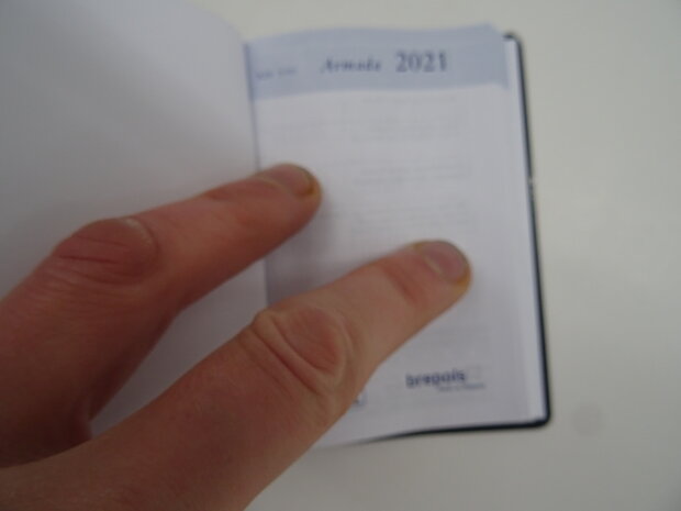 pocket diary 2021
