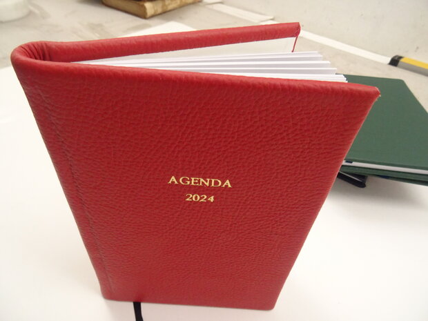 Dutch diary 2024