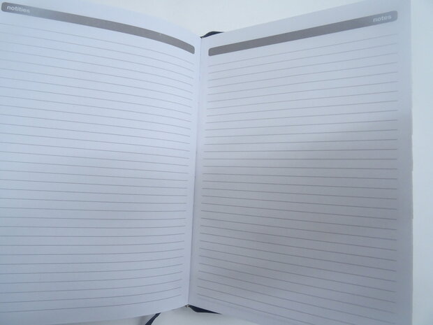 Dutch diary 2024