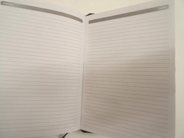 Dutch diary 2024