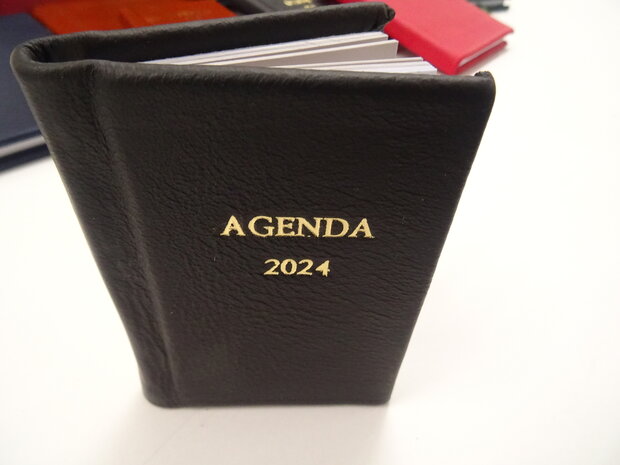 pocket diary 2024