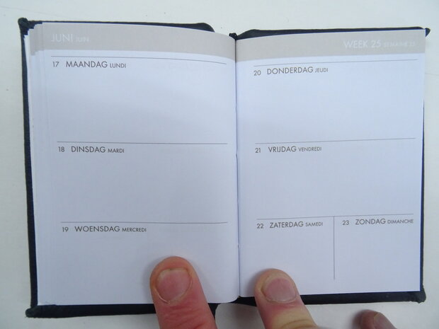 pocket diary 2024