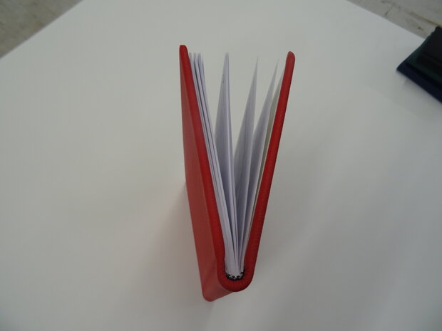 Dutch diary 2026
