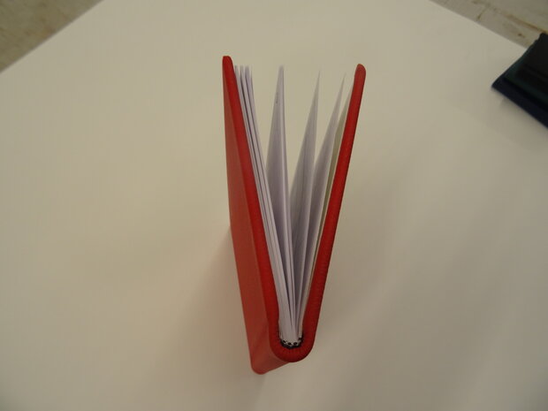 Dutch diary 2026