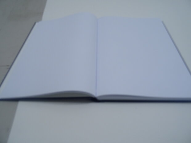 dummy boek kunstleder dummie kunstleer boeken dummy's