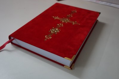 Dummy Sinterklaas boek